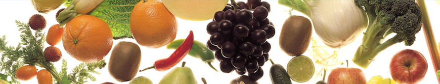 www.foodstate.de